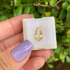 13010050325-canva-photo-editor-1