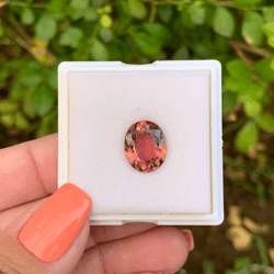 13784316168-canva-photo-editor-1