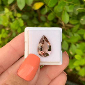 13784218354-canva-photo-editor-1