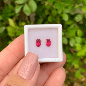 13944132361-canva-photo-editor-1