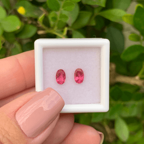 13944092061-canva-photo-editor-1