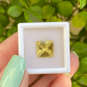 14271058053-canva-photo-editor-1