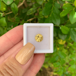 14483003424-canva-photo-editor-1