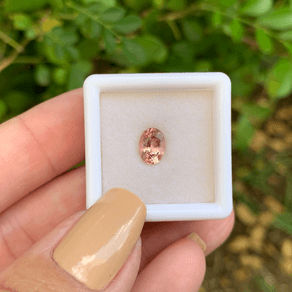 14483077131-canva-photo-editor-1