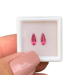 1000x1000-Bruno--12-