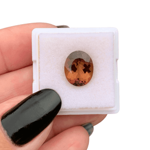 1000x1000-Bruno--12-