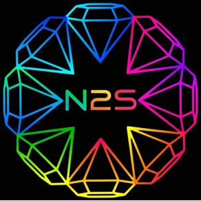 logo_N2S_1
