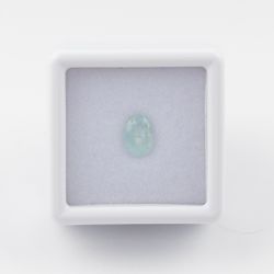 IMG_5506-3